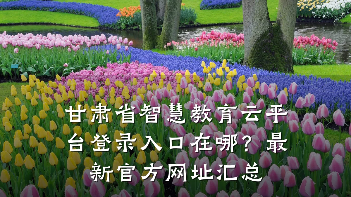 甘肃省智慧教育云平台登录入口在哪？最新官方网址汇总