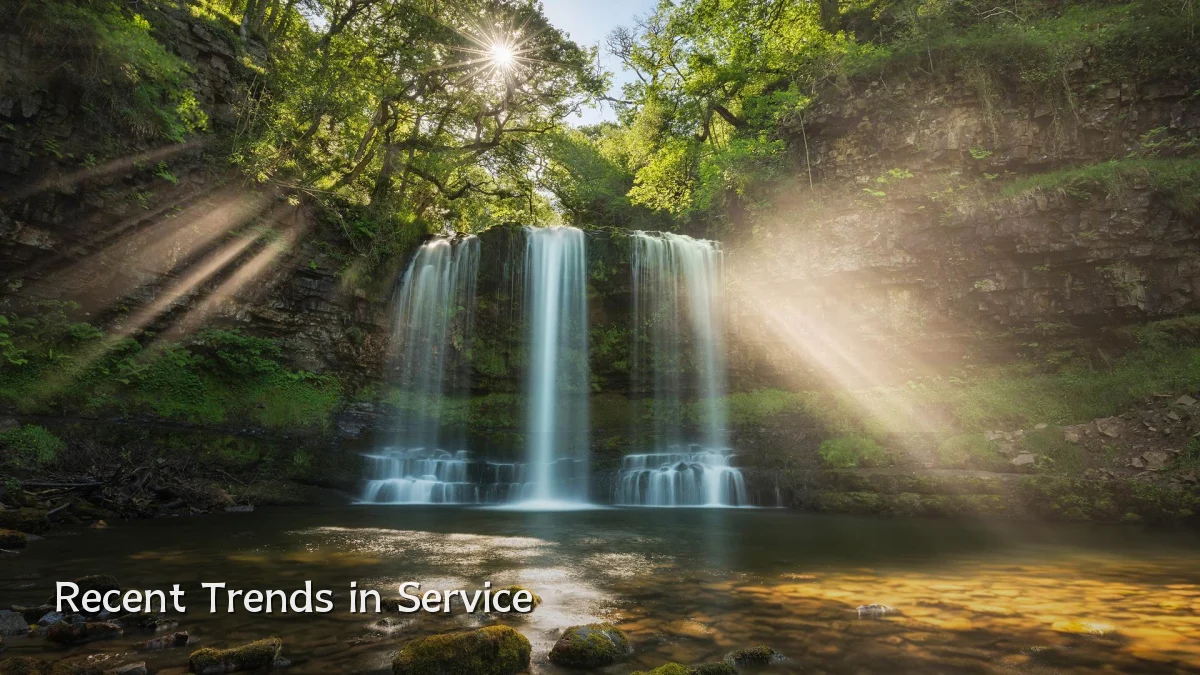 Recent Trends in Service