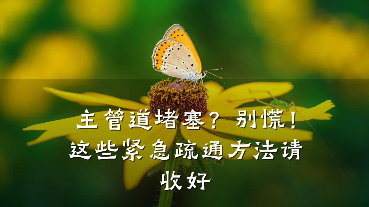 主管道堵塞?别慌!这些紧急疏通方法请收好