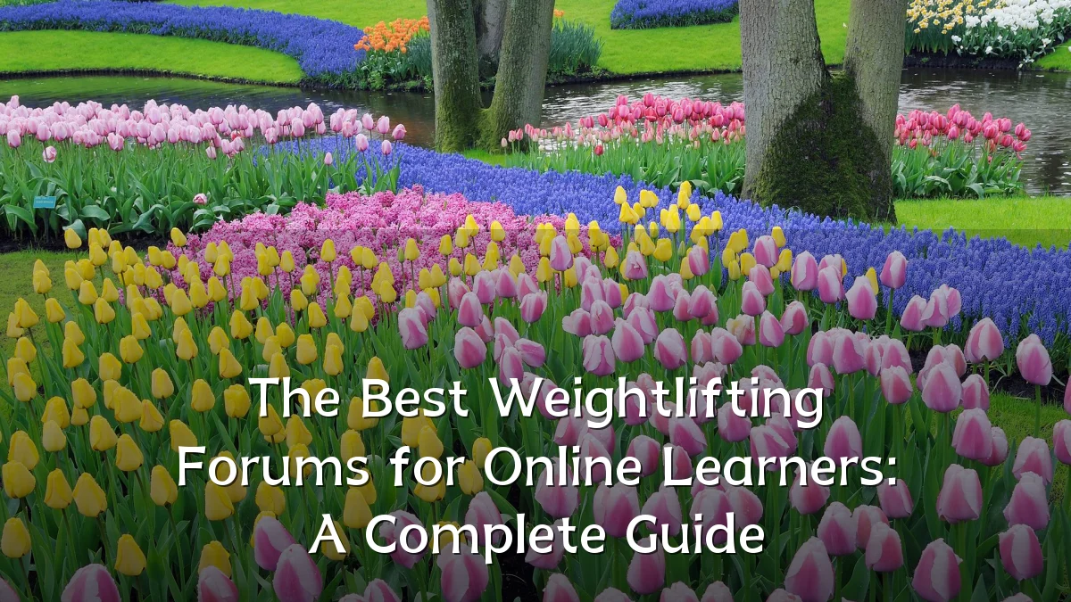 The Best Weightlifting Forums for Online Learners: A Complete Guide
