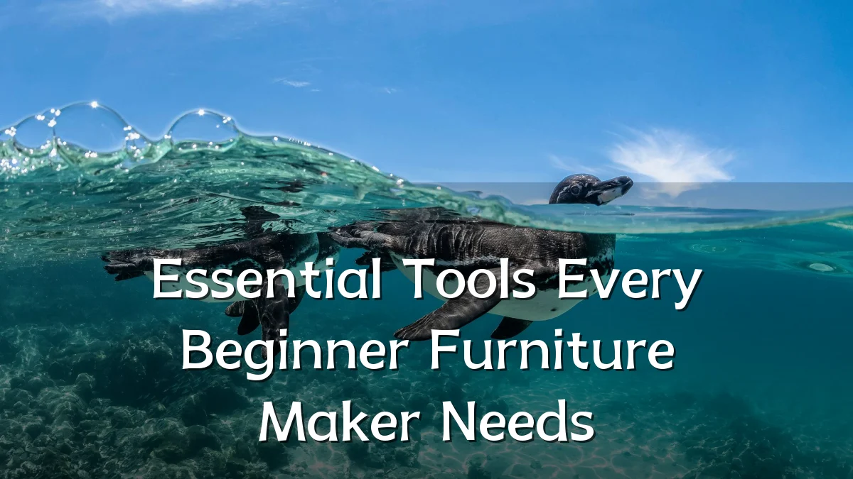 Essential Tools Every Beginner Furniture Maker Needs