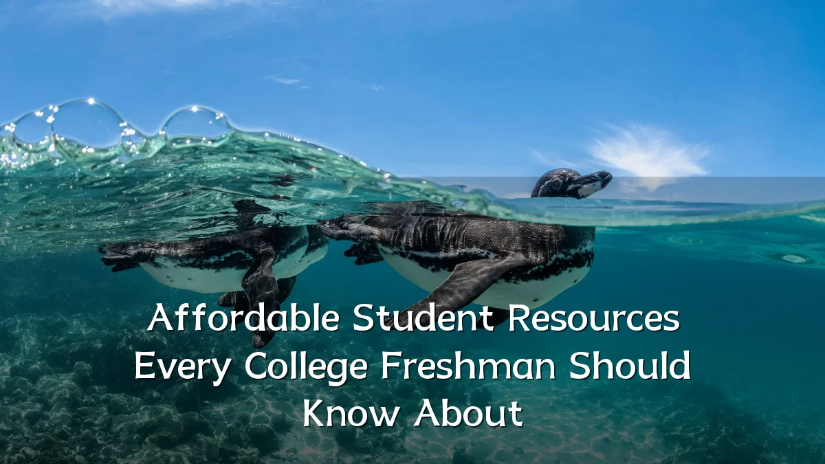 Affordable Student Resources Every College Freshman Should Know About
