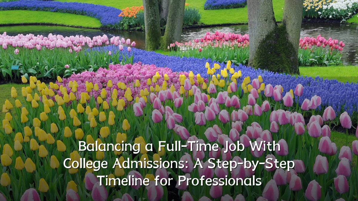 Balancing a Full-Time Job With College Admissions: A Step-by-Step Timeline for Professionals