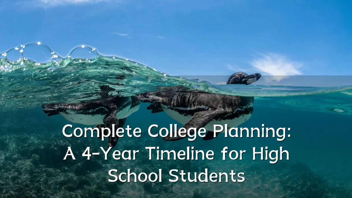 Complete College Planning: A 4-Year Timeline for High School Students