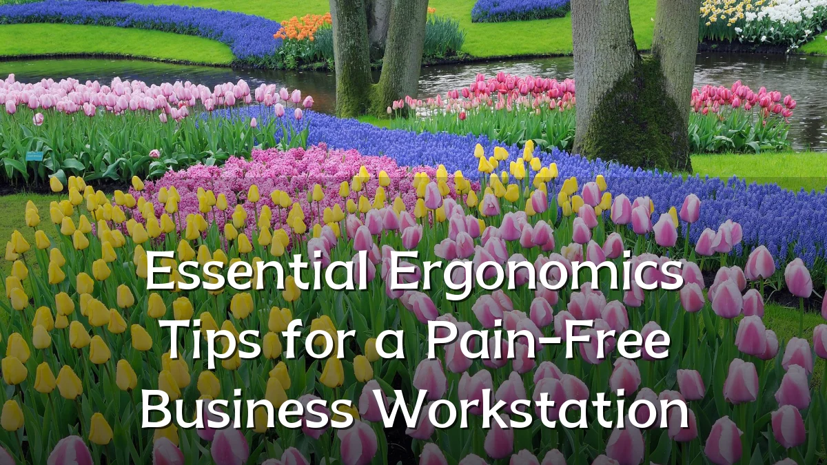 Essential Ergonomics Tips for a Pain-Free Business Workstation