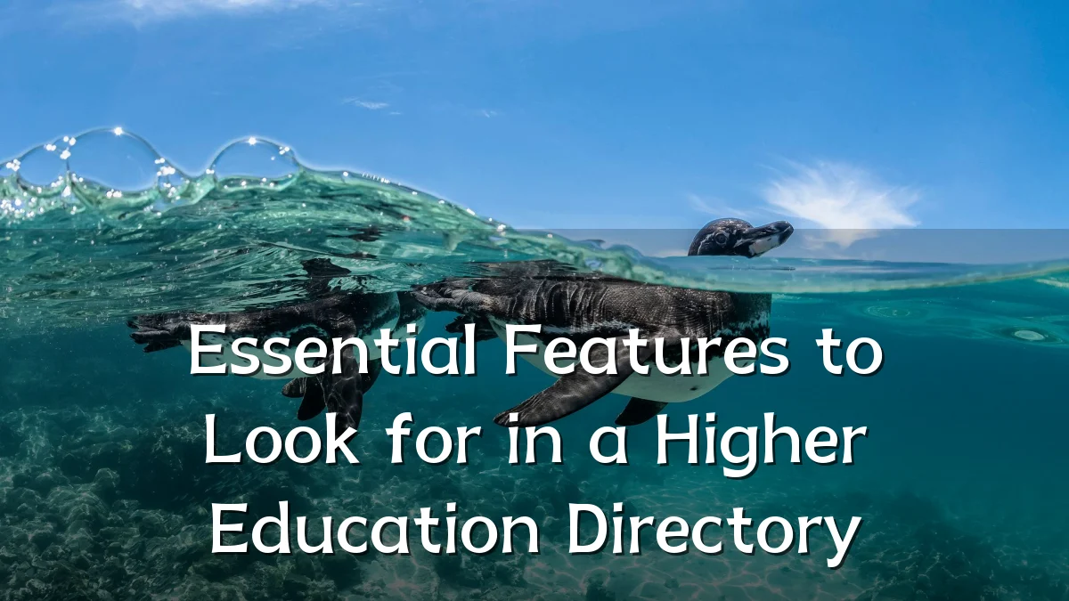 Essential Features to Look for in a Higher Education Directory