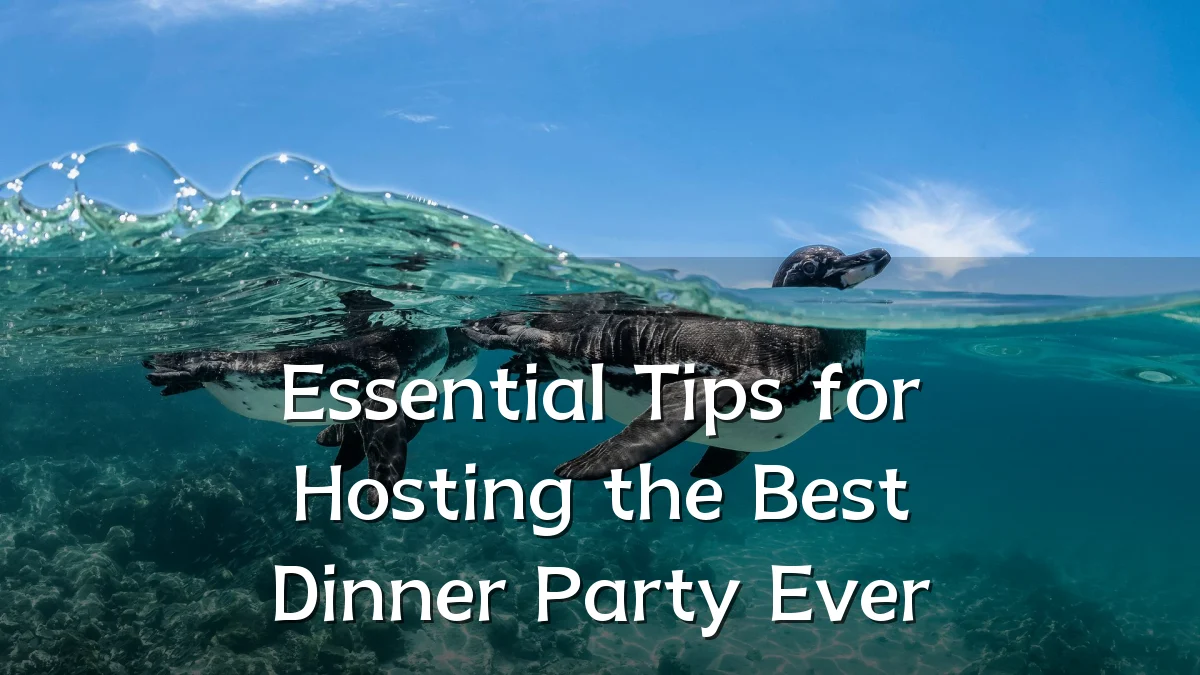 Essential Tips for Hosting the Best Dinner Party Ever