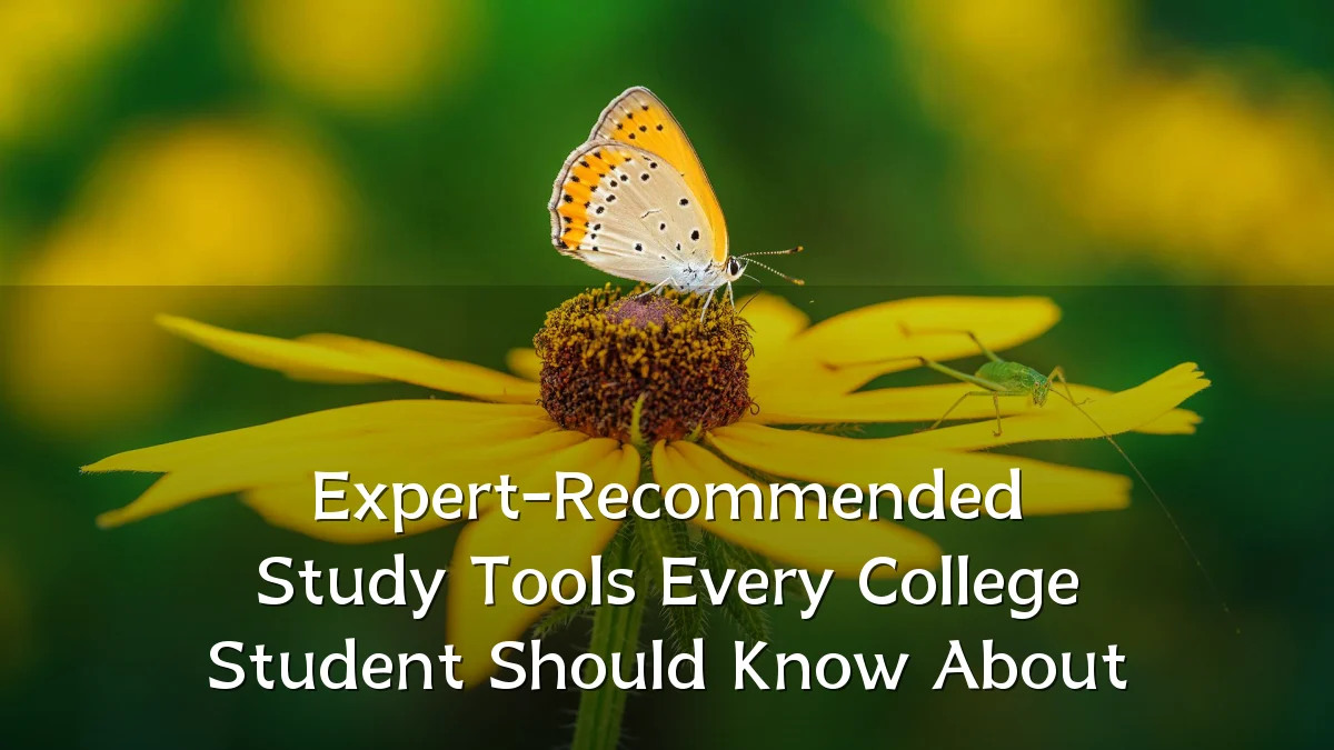 Expert-Recommended Study Tools Every College Student Should Know About