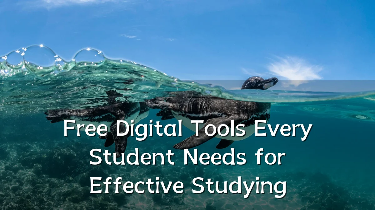 Free Digital Tools Every Student Needs for Effective Studying