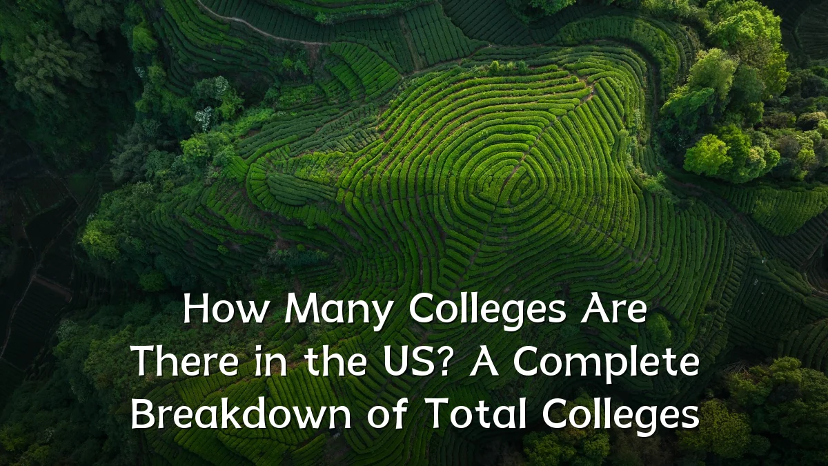 How Many Colleges Are There in the US? A Complete Breakdown of Total Colleges