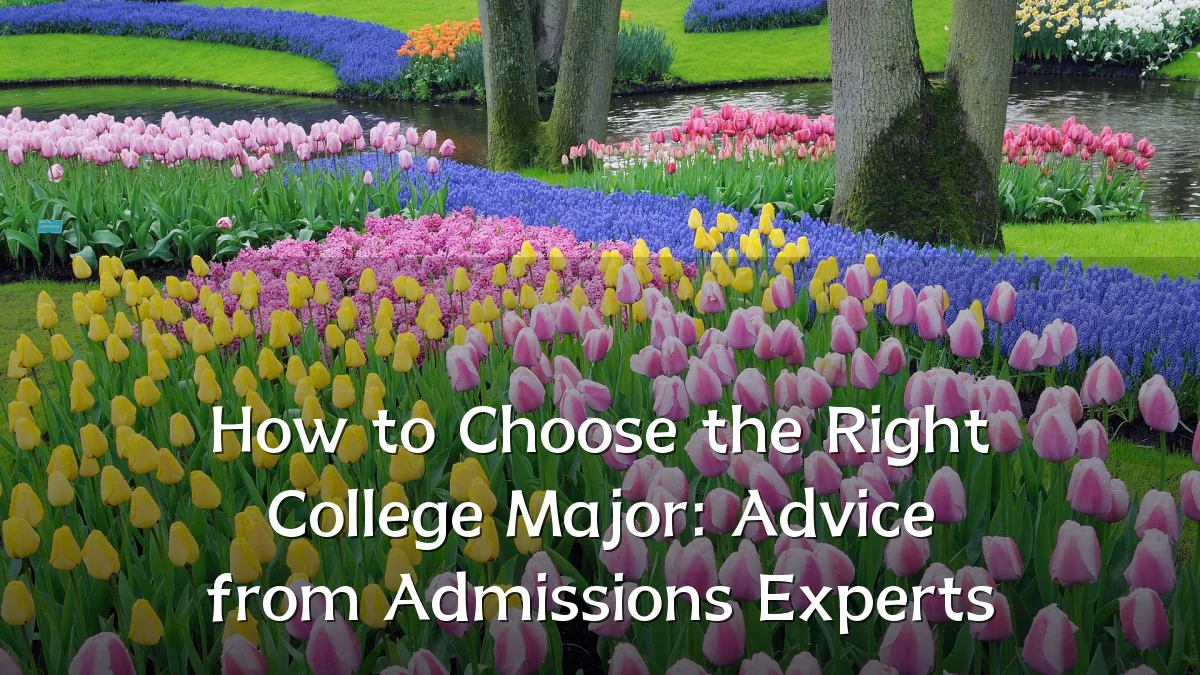 How to Choose the Right College Major: Advice from Admissions Experts