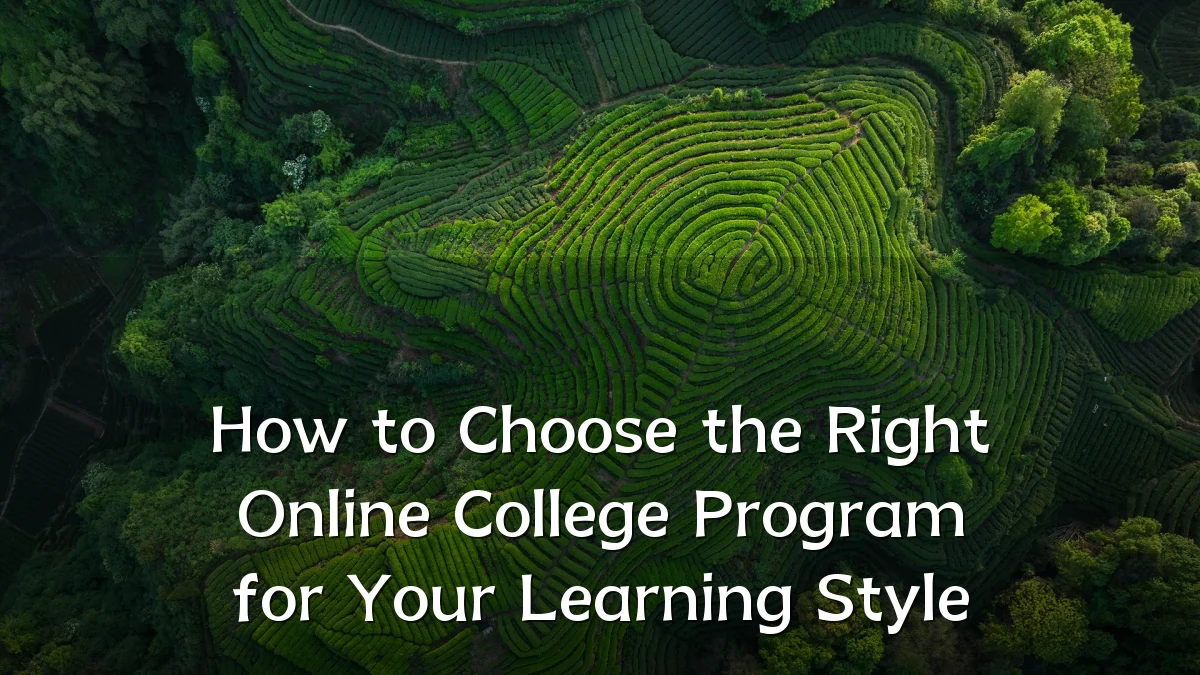 How to Choose the Right Online College Program for Your Learning Style