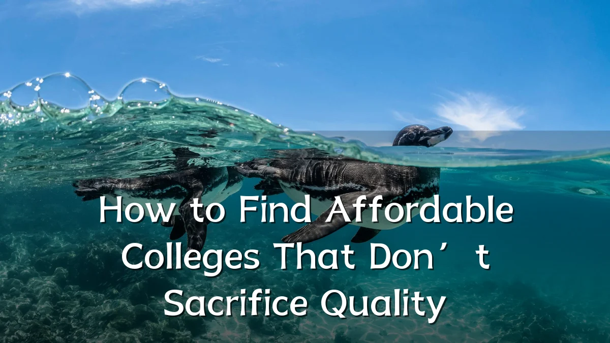 How to Find Affordable Colleges That Don’t Sacrifice Quality