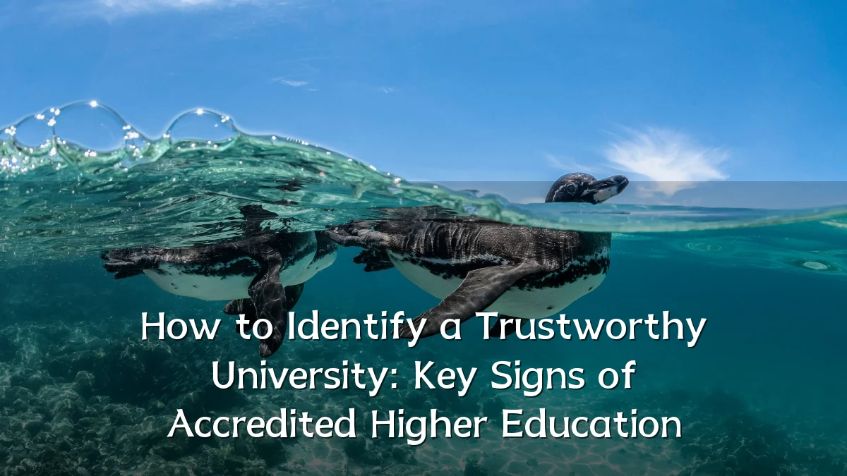 How to Identify a Trustworthy University: Key Signs of Accredited Higher Education