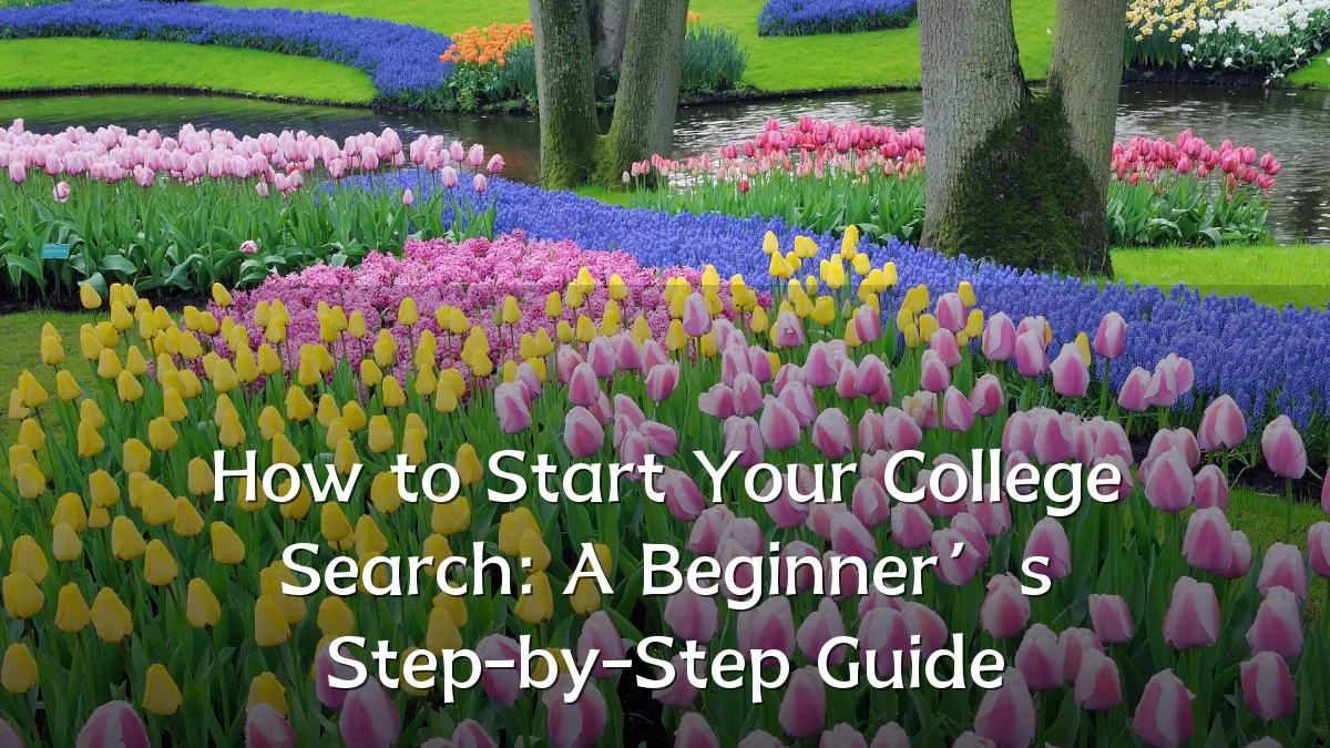 How to Start Your College Search: A Beginner’s Step-by-Step Guide