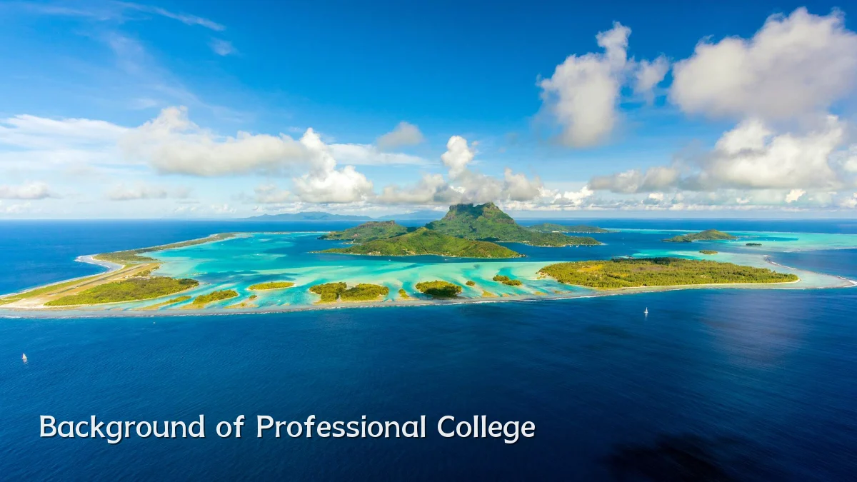 Background of Professional College