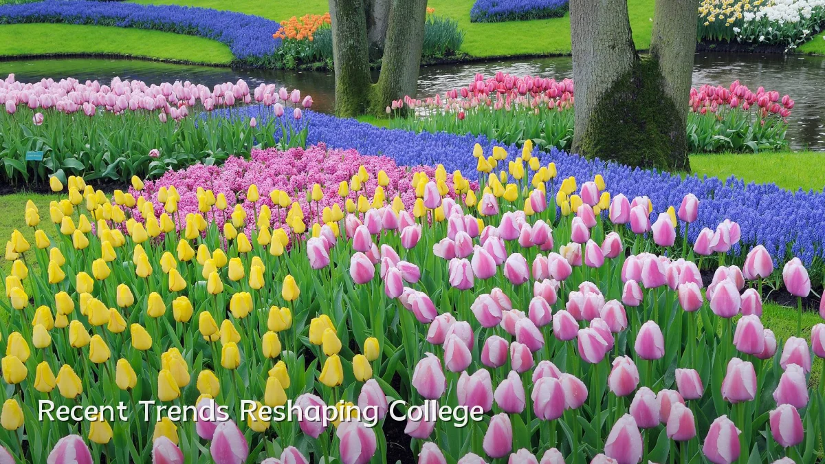 Recent Trends Reshaping College