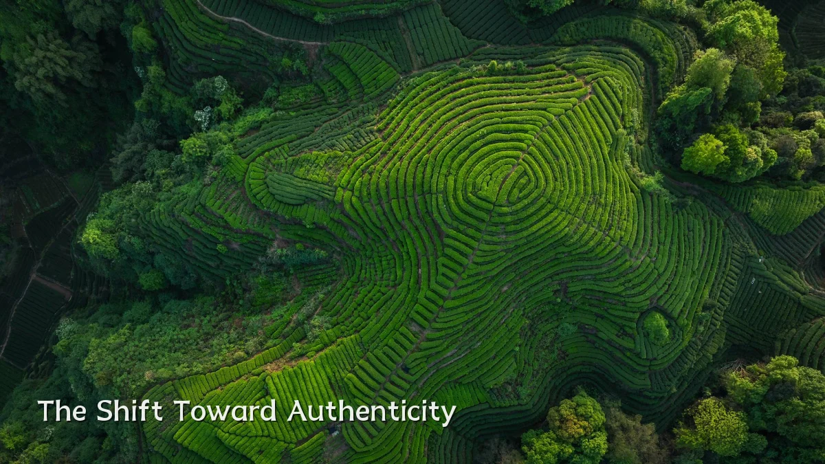 The Shift Toward Authenticity