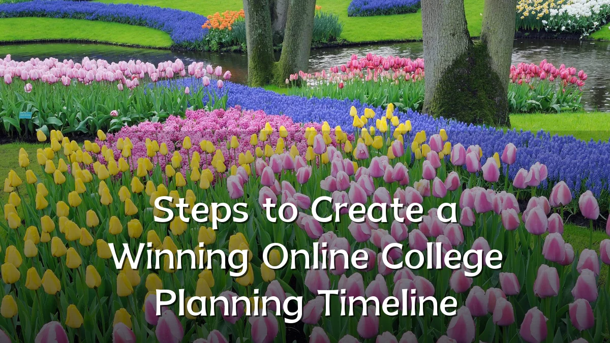 Steps to Create a Winning Online College Planning Timeline