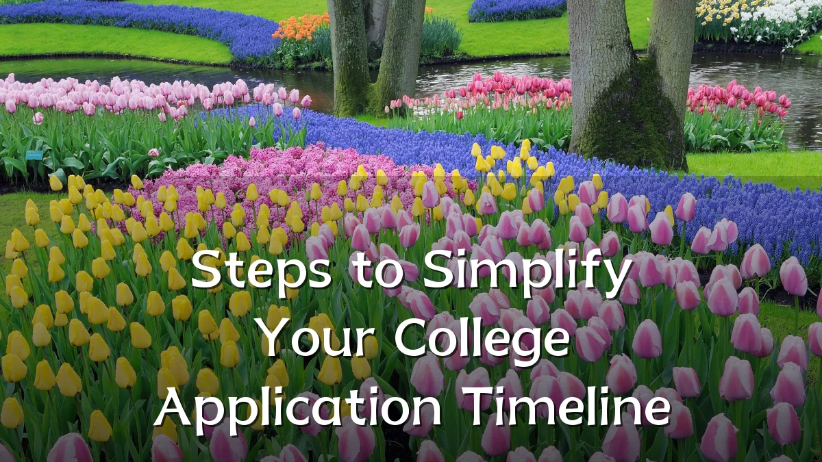 Steps to Simplify Your College Application Timeline