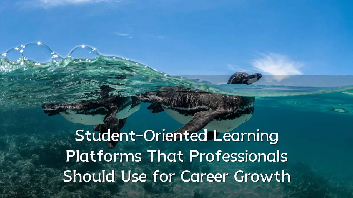Student-Oriented Learning Platforms That Professionals Should Use for Career Growth