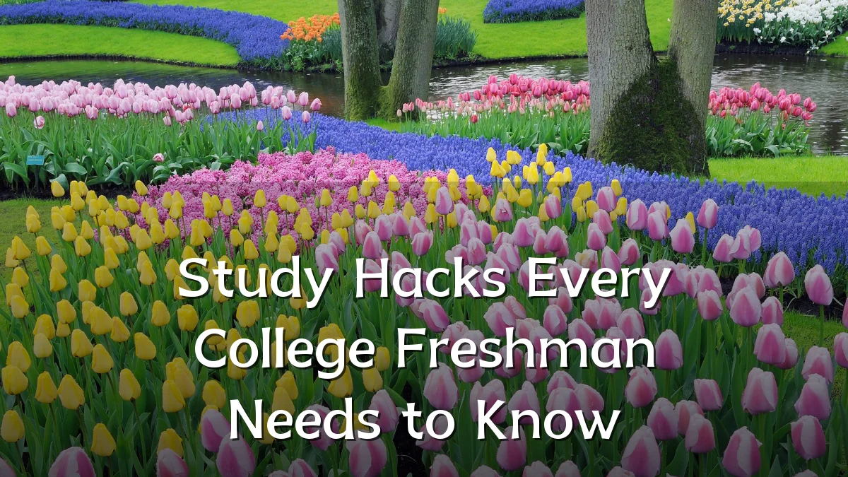 Study Hacks Every College Freshman Needs to Know