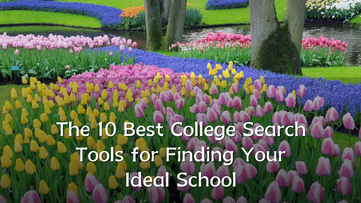The 10 Best College Search Tools for Finding Your Ideal School