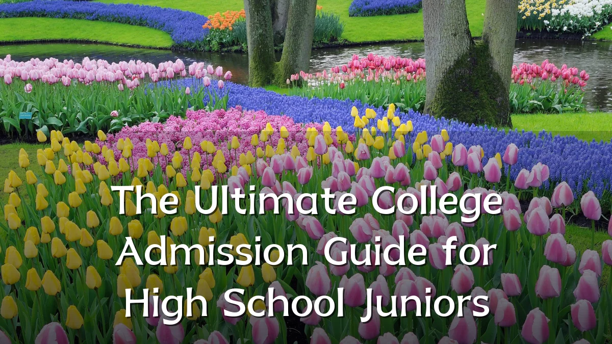 The Ultimate College Admission Guide for High School Juniors