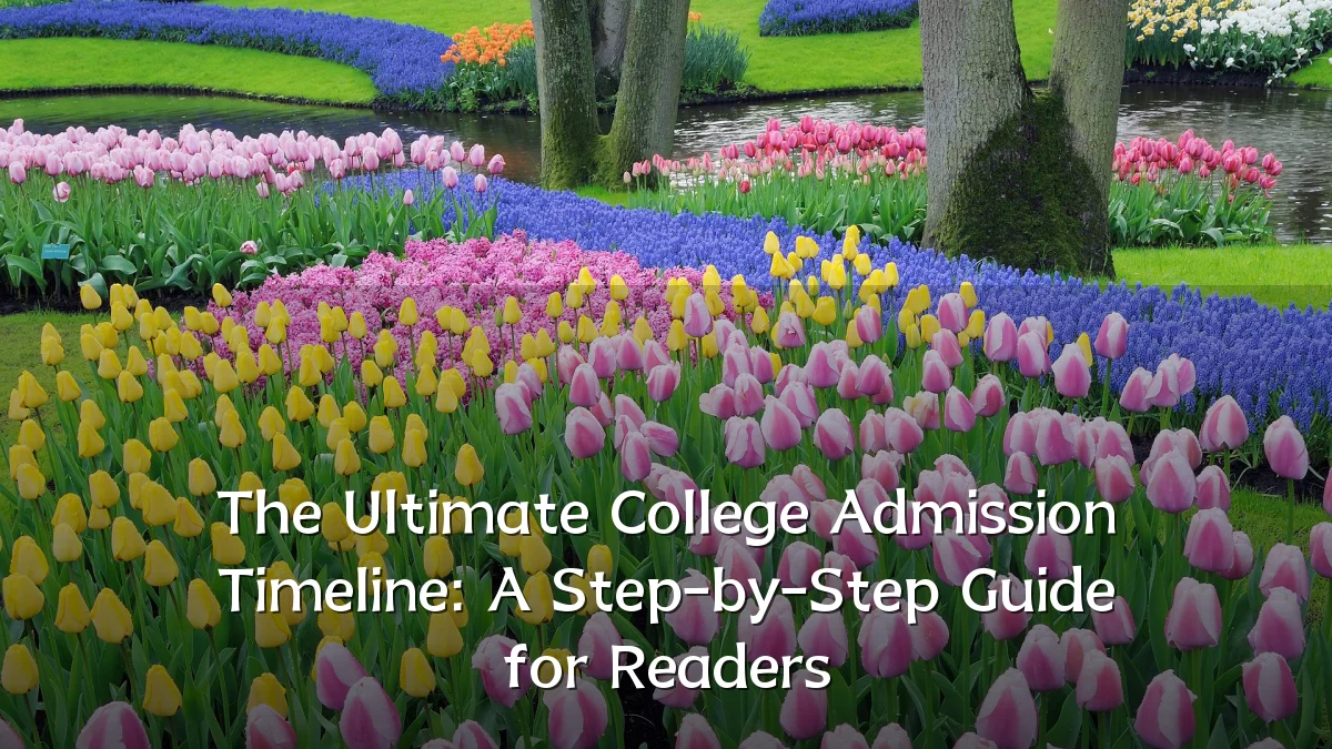 The Ultimate College Admission Timeline: A Step-by-Step Guide for Readers