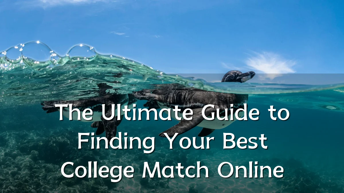The Ultimate Guide to Finding Your Best College Match Online