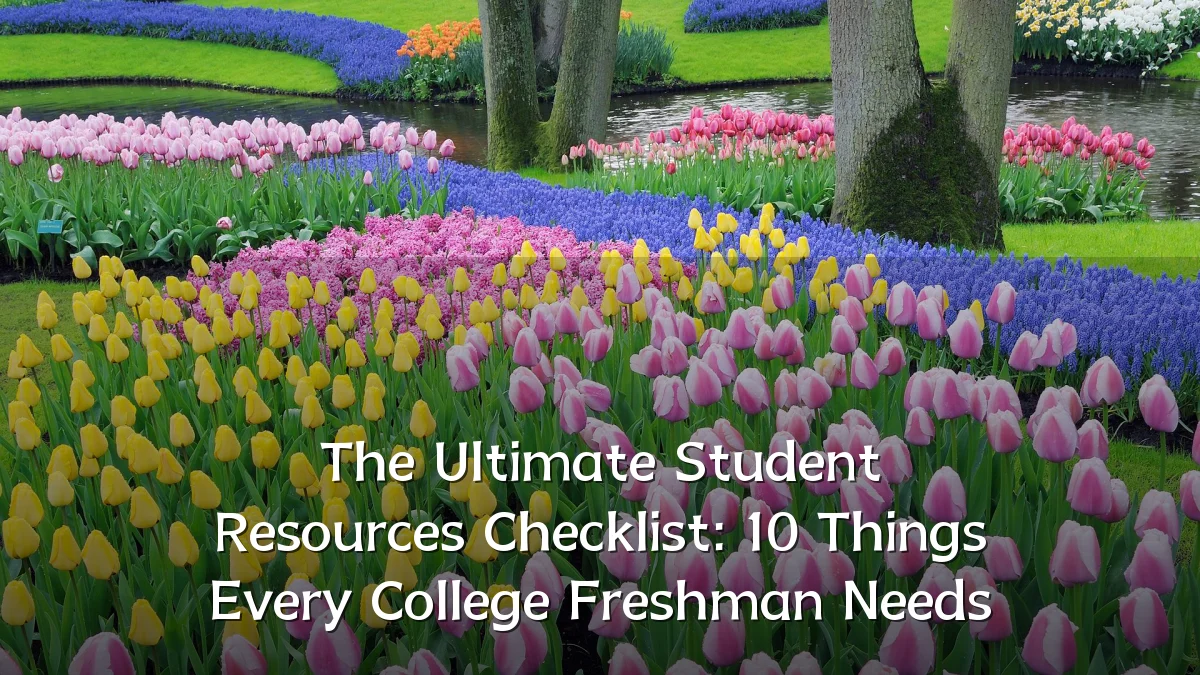 The Ultimate Student Resources Checklist: 10 Things Every College Freshman Needs