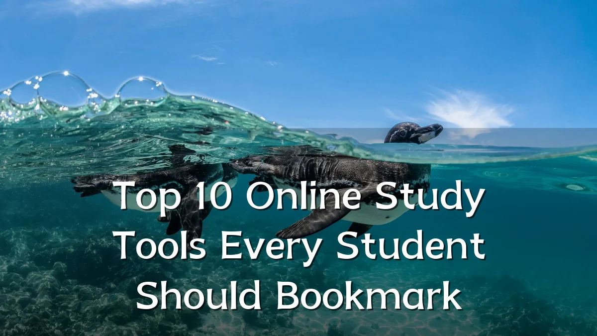 Top 10 Online Study Tools Every Student Should Bookmark