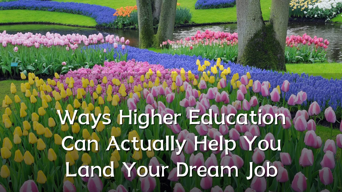 Ways Higher Education Can Actually Help You Land Your Dream Job