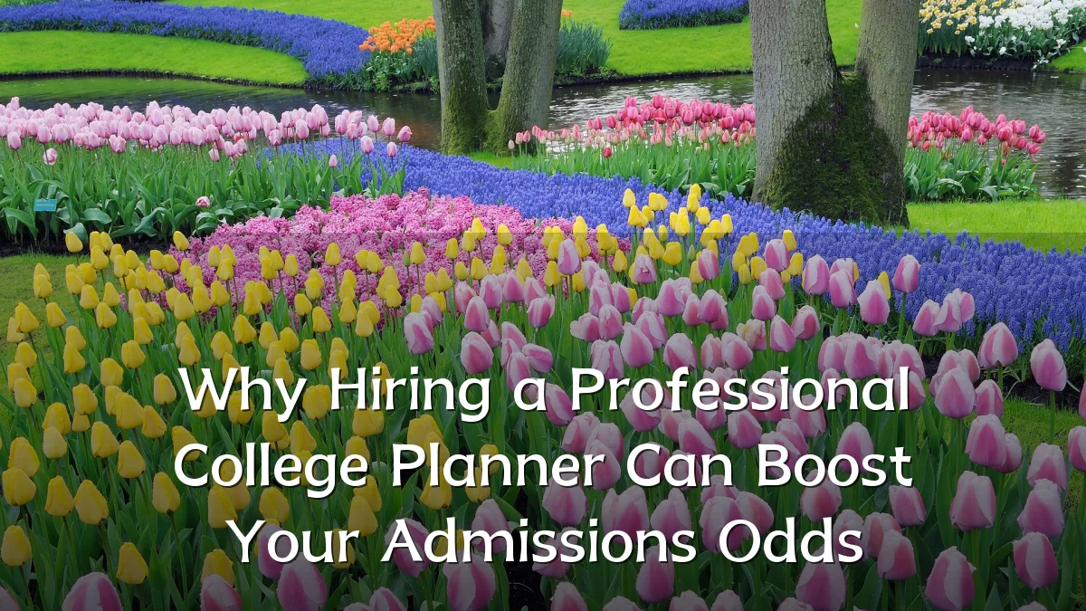 Why Hiring a Professional College Planner Can Boost Your Admissions Odds