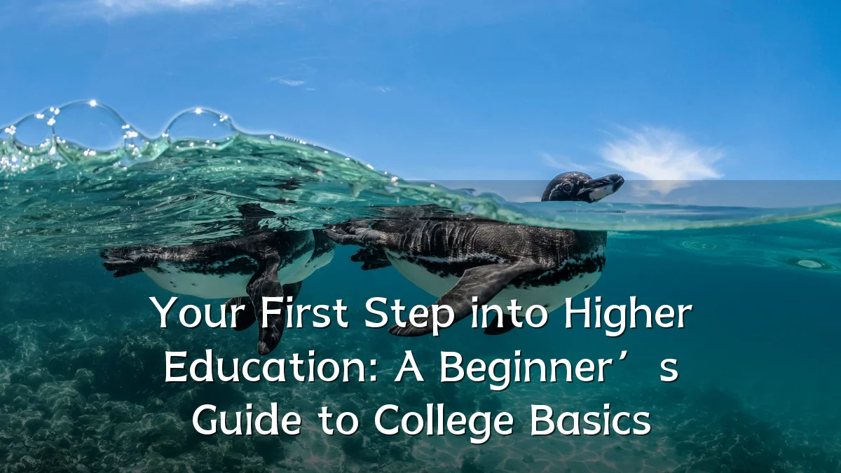 Your First Step into Higher Education: A Beginner’s Guide to College Basics