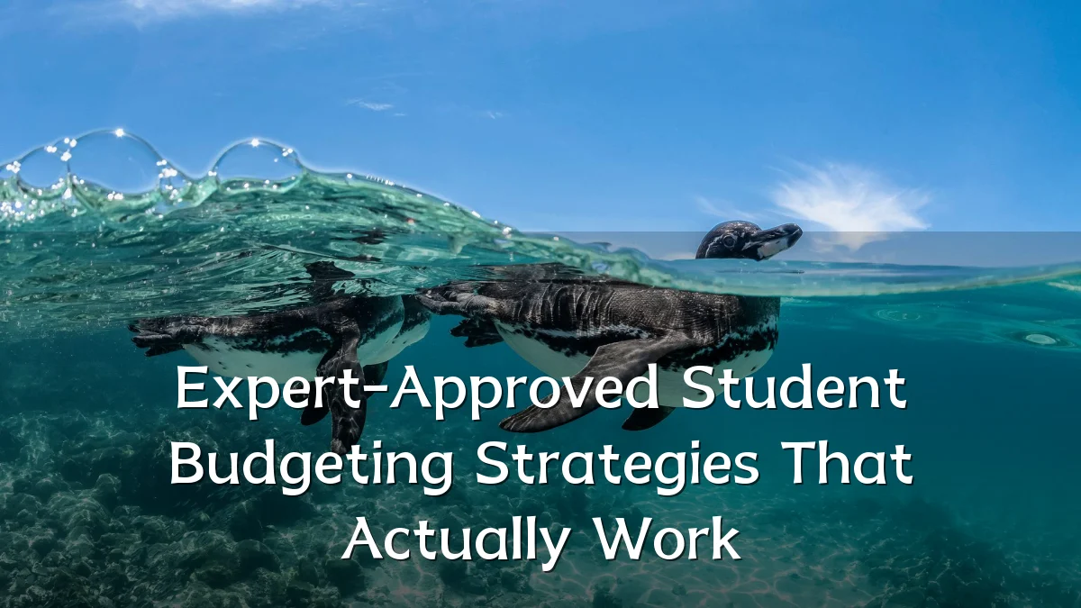 Expert-Approved Student Budgeting Strategies That Actually Work