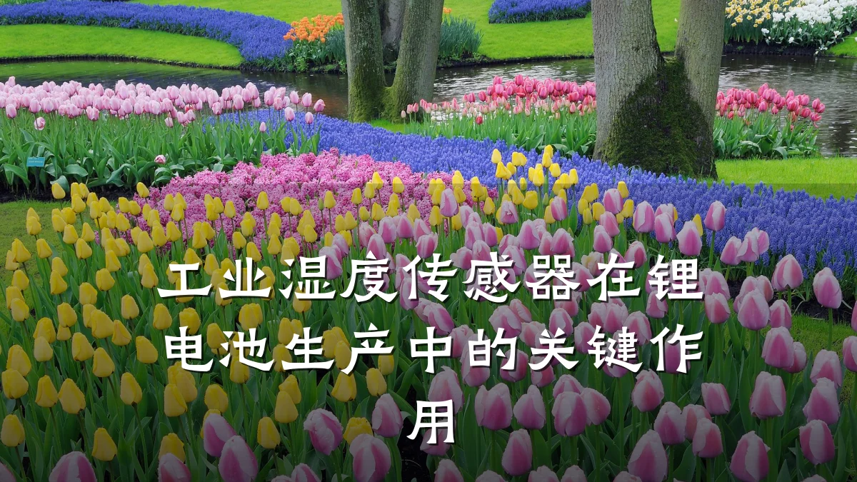 工业湿度传感器在锂电池生产中的关键作用