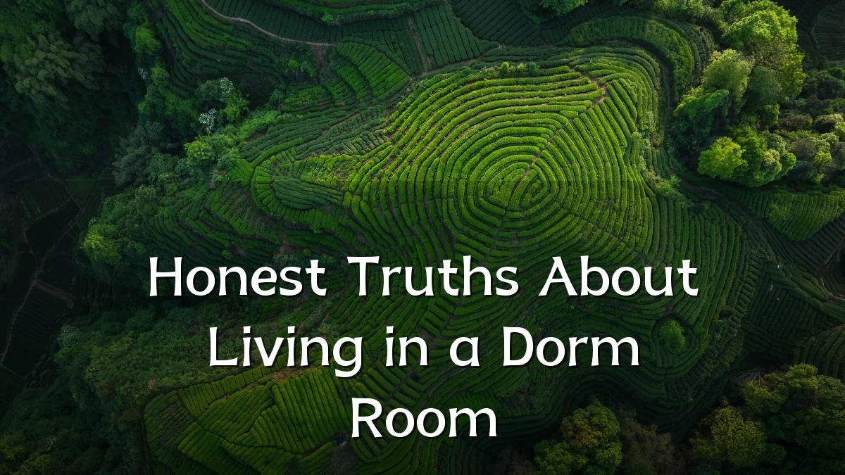 Honest Truths About Living in a Dorm Room