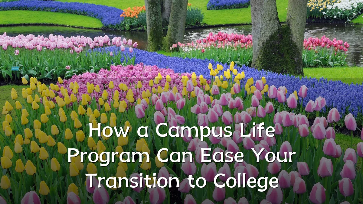 How a Campus Life Program Can Ease Your Transition to College