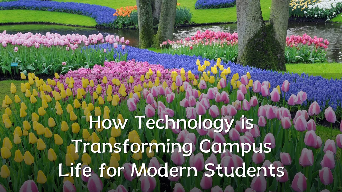 How Technology is Transforming Campus Life for Modern Students