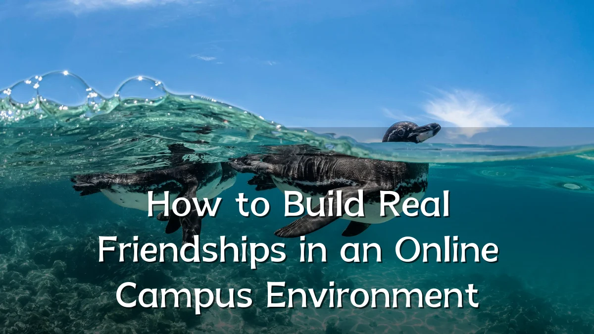How to Build Real Friendships in an Online Campus Environment