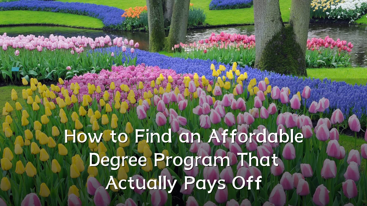 How to Find an Affordable Degree Program That Actually Pays Off