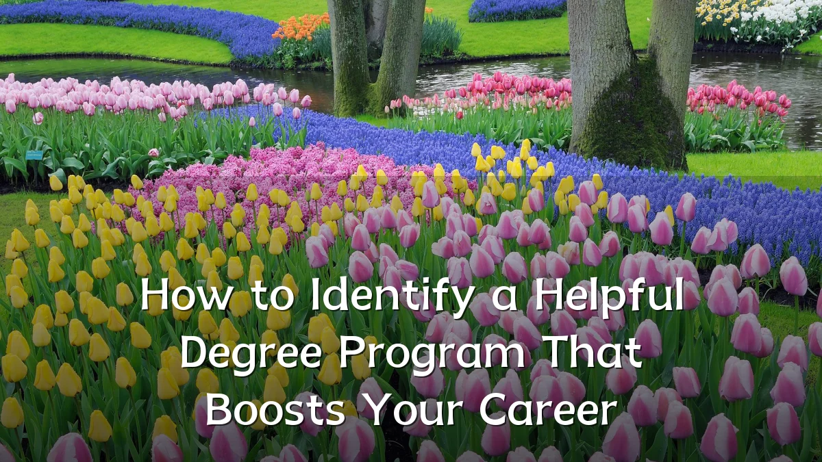 How to Identify a Helpful Degree Program That Boosts Your Career