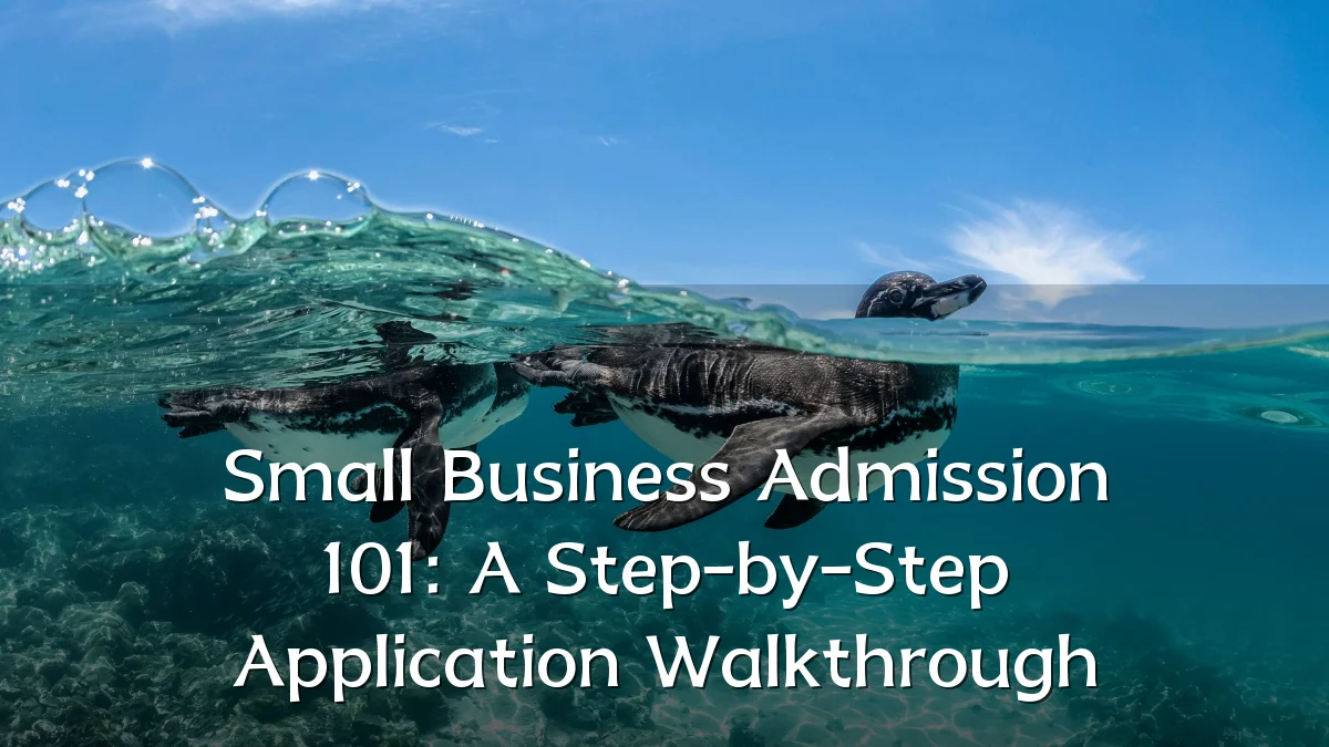 Small Business Admission 101: A Step-by-Step Application Walkthrough
