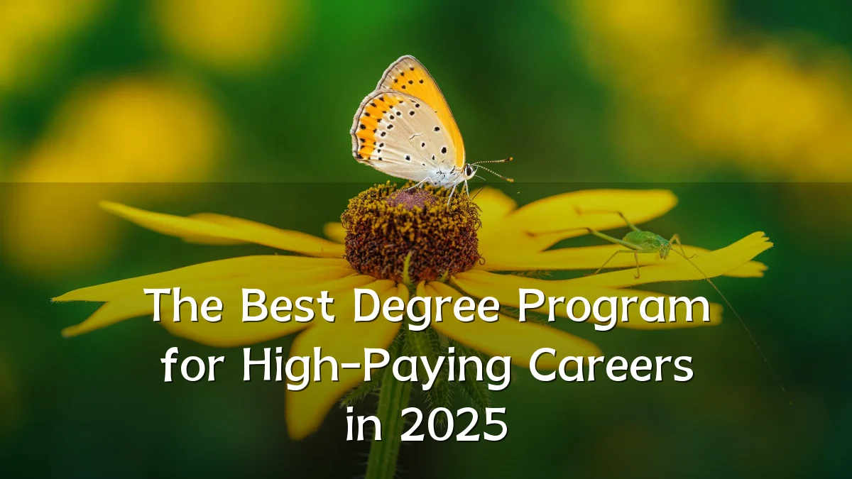 The Best Degree Program for High-Paying Careers in 2025