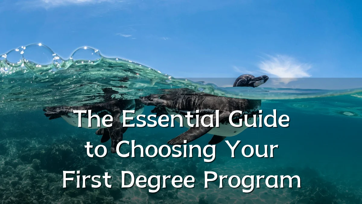 The Essential Guide to Choosing Your First Degree Program