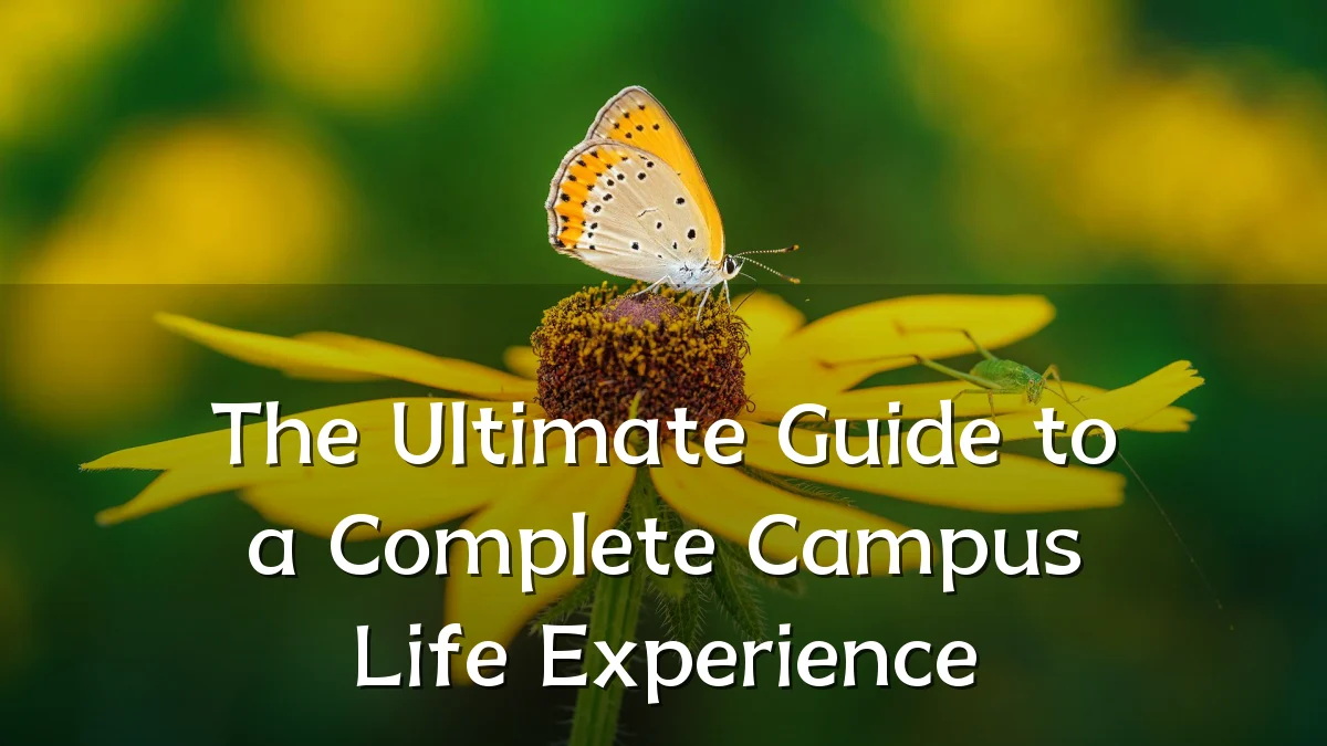 The Ultimate Guide to a Complete Campus Life Experience