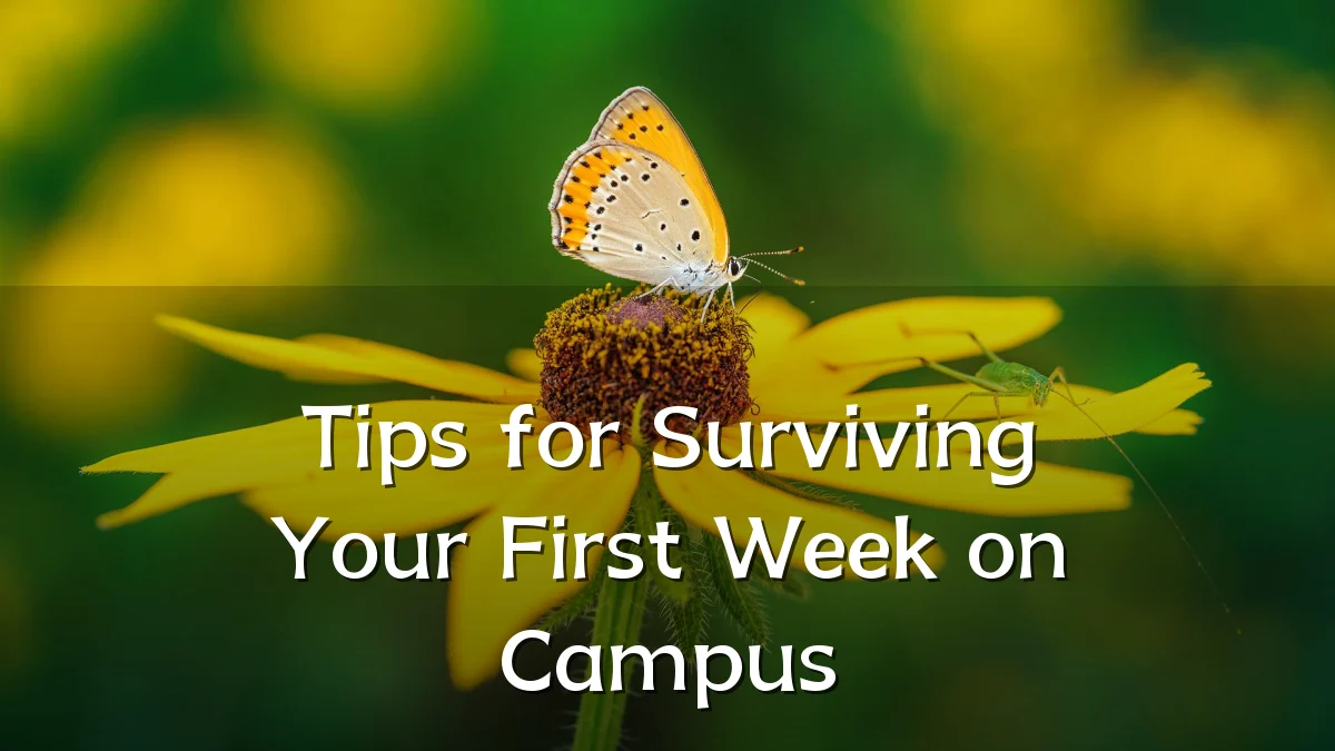 Tips for Surviving Your First Week on Campus