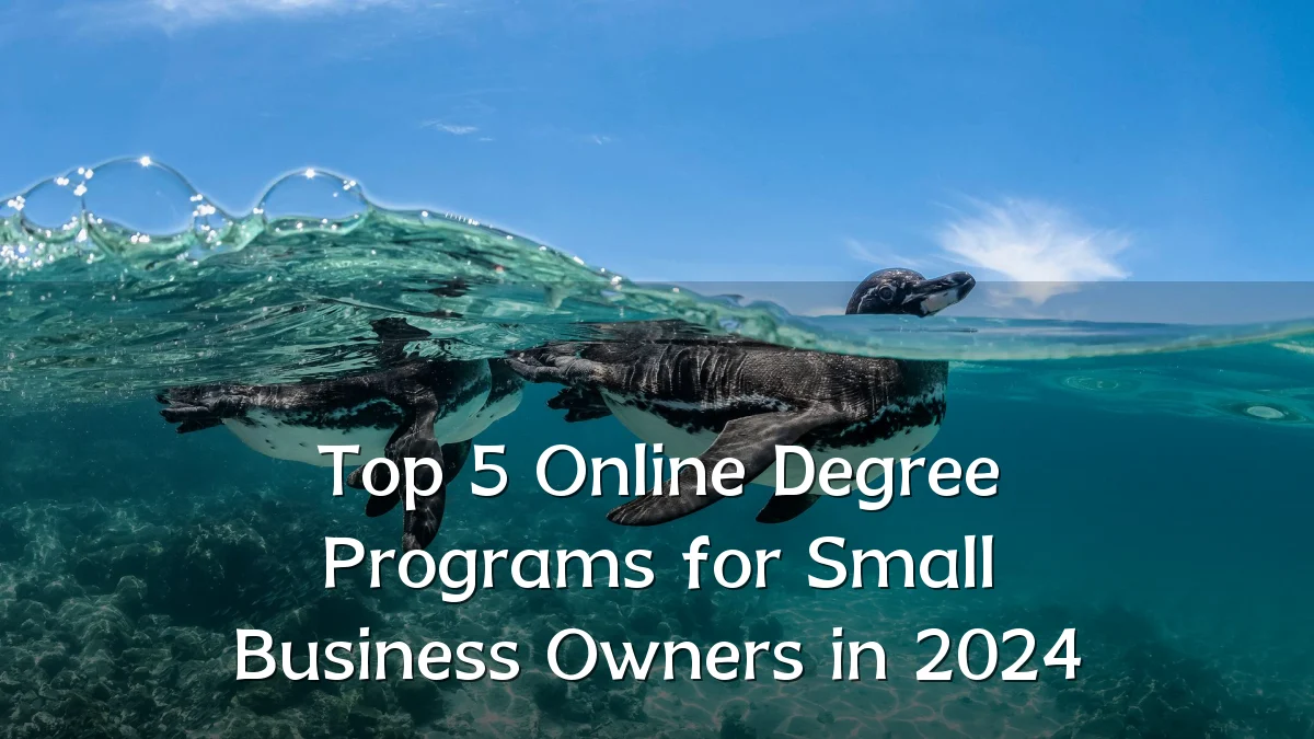 Top 5 Online Degree Programs for Small Business Owners in 2024