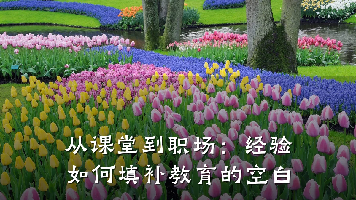 从课堂到职场:经验如何填补教育的空白